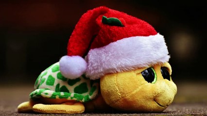 English Synonyms and Antonyms, Section 58: Send to Shake