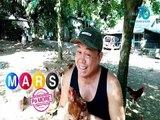 Mars Pa More: Mga manok na pula ni Dennis Padilla, kilalanin!