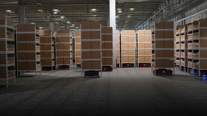 Intelligent sorting systems help China's JD.com cope with demand during Covid-19 pandemic