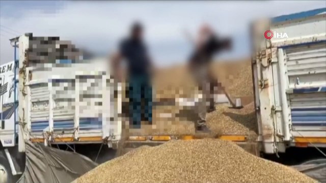 Ceylanpınar Gümrük Kapısı'nda 37 bin 500 paket kaçak sigara ele geçirildi