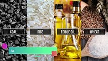Procure Rice suppliers in india, Pulses, Wheat, Edible Oils Through Tradologie com
