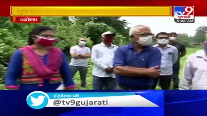 Vadodara- Farmers in Koyli face severe crop loss as industrial units release chemical mixed water