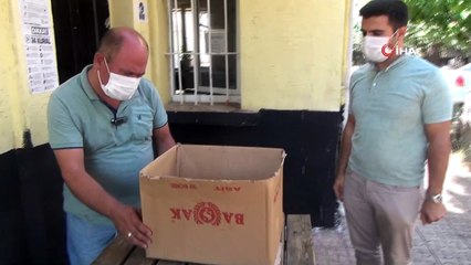 Aracın camına çarpan kamuflaj ustası çobanaldatan kuşu yaralandı