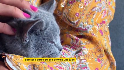 Frappée et insultée parce qu'elle portait une jupe, une étudiante de Strasbourg porte plainte