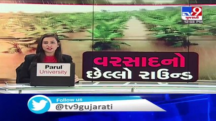 Rain lashes Junagadh's Visavadar, farmers fear crop failure