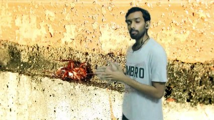 History of Corona viruses In Telugu |  కరోనా వైరస్ల చరిత్ర |  తెలుగులో కరోనావైరస్ చరిత్ర