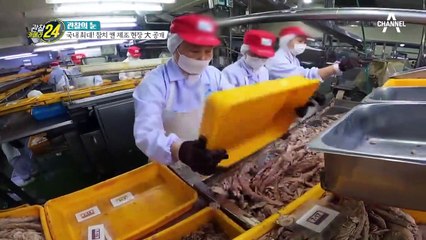 참치 캔 속 기름 먹어도 될까?! 참치 캔 공장장에서 물어봤다!