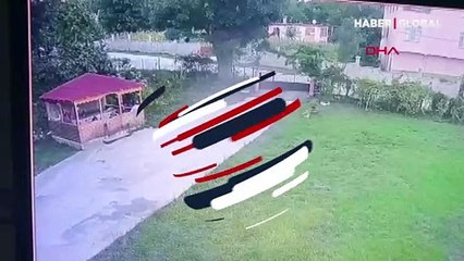 Arının yol açtığı kaza kamerada