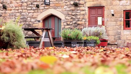 New restrictions on the hospitality sector