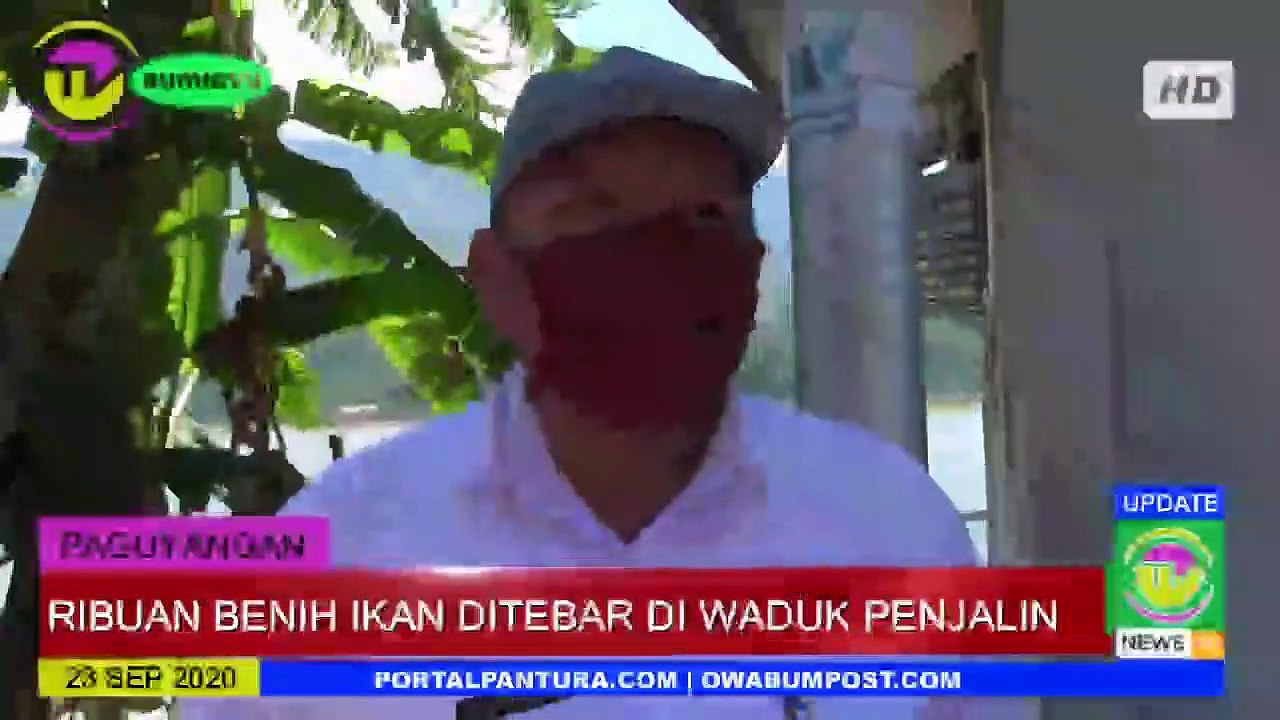 RIBUAN BENIH IKAN DITEBAR DI WADUK PENJALIN