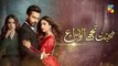 Mohabbat Tujhe Alvida Episode 16 Promo HUM TV Drama