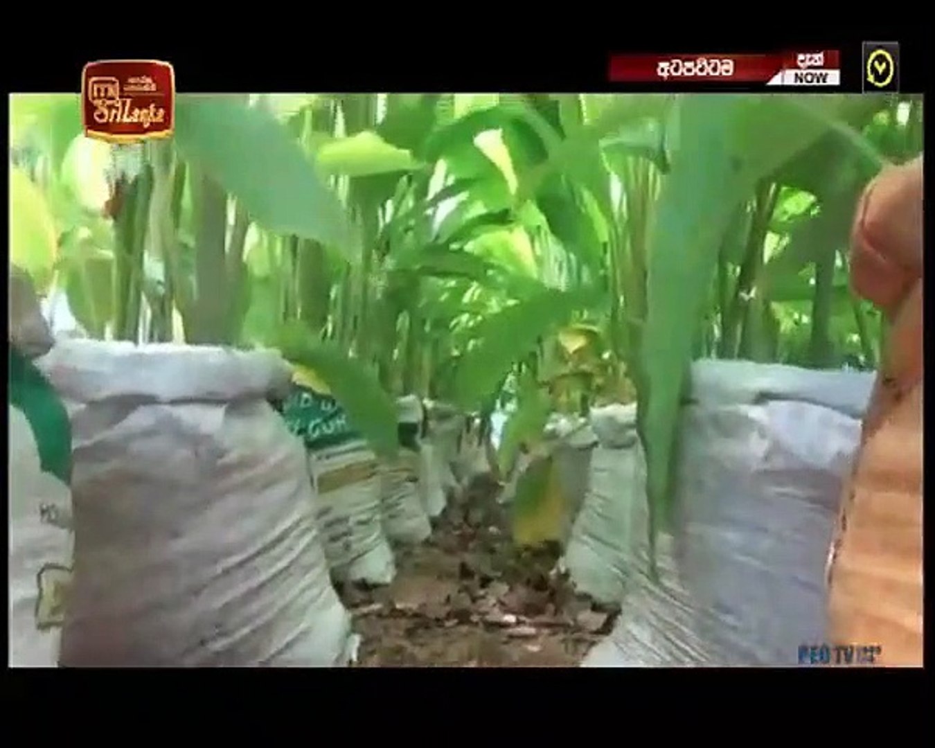 Atapattama 2020.09.23