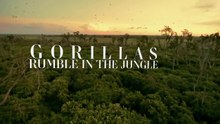 Gorillas- Rumble in the Jungle (2020)