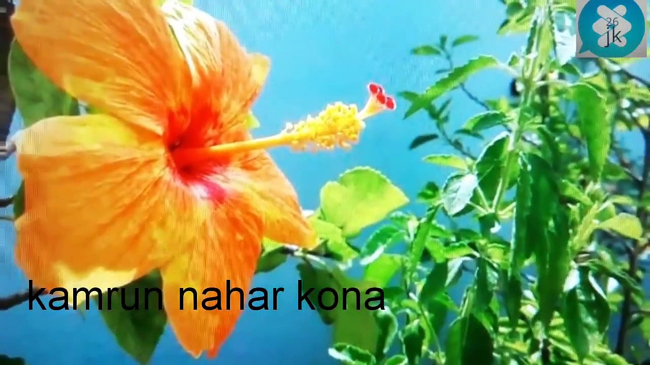 Awo  na  hindi beautiful song  