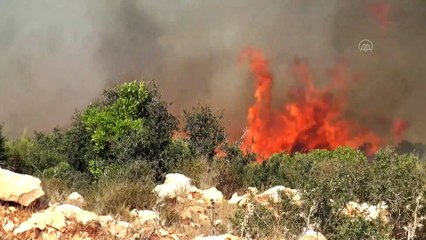 Aydın'da makilik alanda çıkan yangın söndürüldü