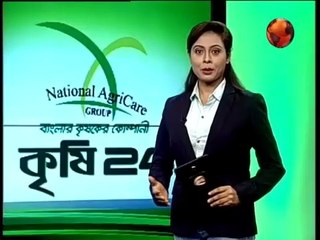 অ্যাজমা ও ব্রংকাইটিস প্রতিরোধ করে চুইঝাল, Chuijhal prevents asthma and bronchitis, Ehq22