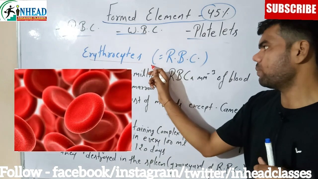 Blood Part - 2 | RBC | WBC | PLATLATES | UPSC | NDA | NEET | SSB | CLASS 11 | INHEAD | Anand Arya