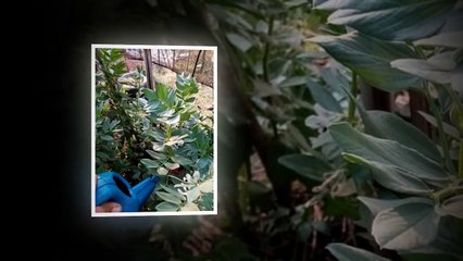 Paseos por Valle Edén - Tacuarembó, Uruguay