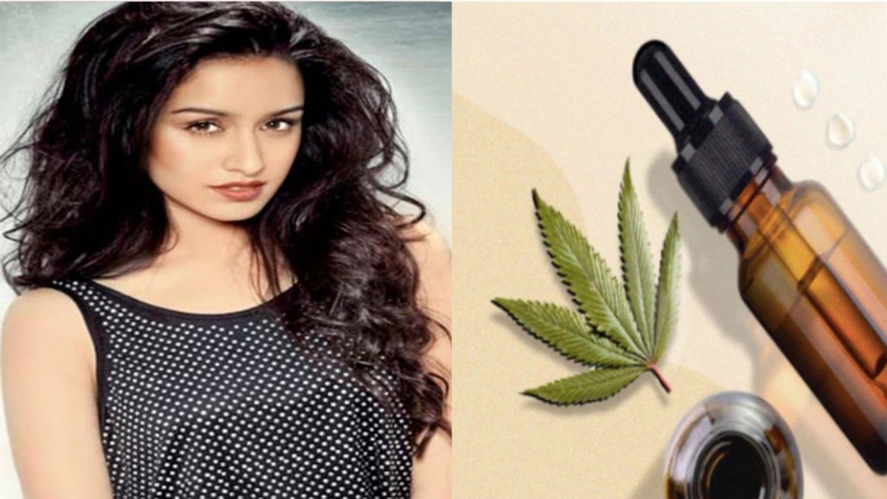 Shraddha Kapoor's Drug Chat: Know what is CBD Oil - video dailymotion