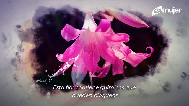 Insectos, mercurio, flores tóxicas y otros elementos que las mujeres usaban antes como maquillaje