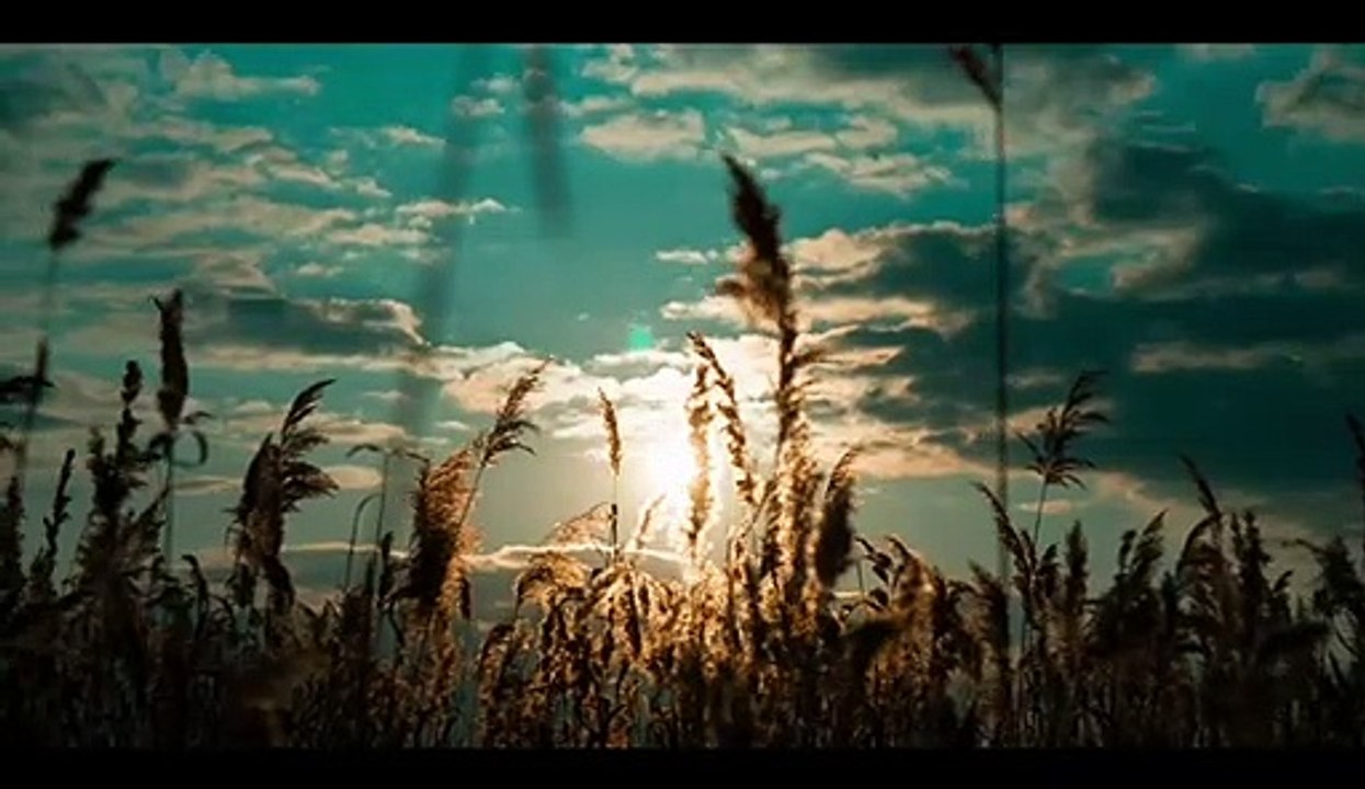 Cane