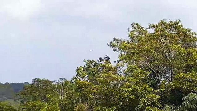 [SBEG Spotting]Airbus A320 PR-MYX na final antes de pousar em Manaus vindo de Brasília(23/09/2020)