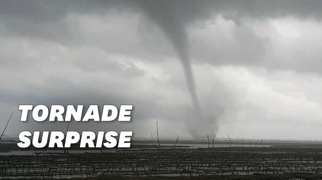Une tornade occasionne quelques dégâts sur l'Île d'Oléron