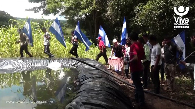 Jóvenes apuestan a la crianza de peces para mejorar su economía