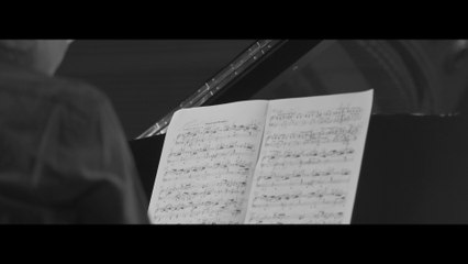 Kun-Woo Paik - Schumann:  Waldszenen, Op. 82: 7. Vogel als Prophet