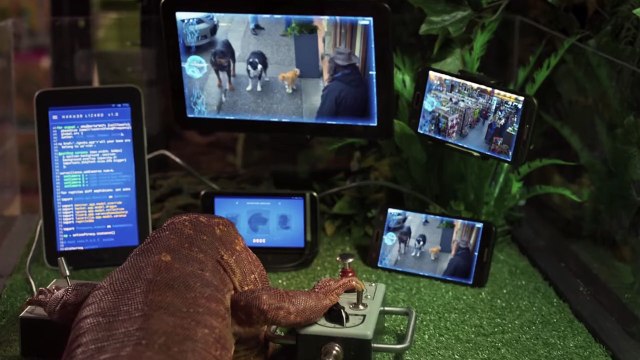 COMO PERROS Y GATOS 3 PATAS UNIDAS Película