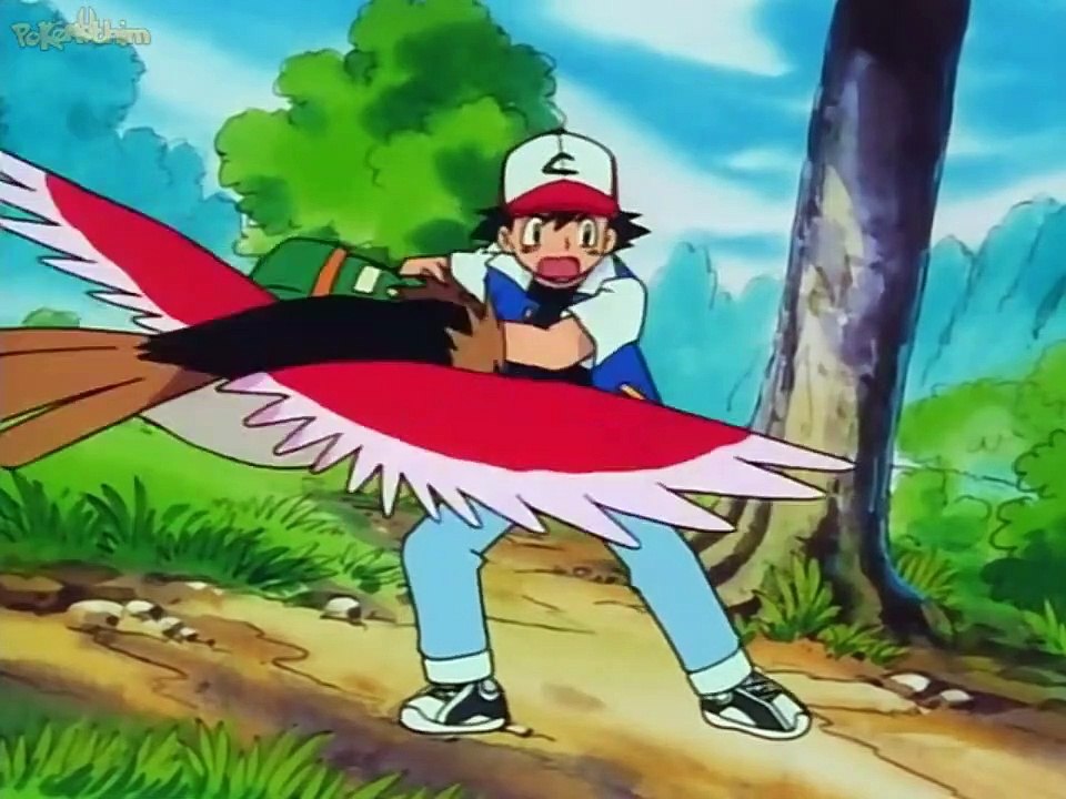 TREINADORES #3 lutas entre Pokémon