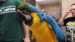 Lori Visits and Trains My Parrots