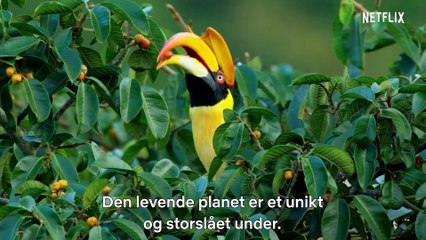 David Attenborough Et liv på vores klode Film