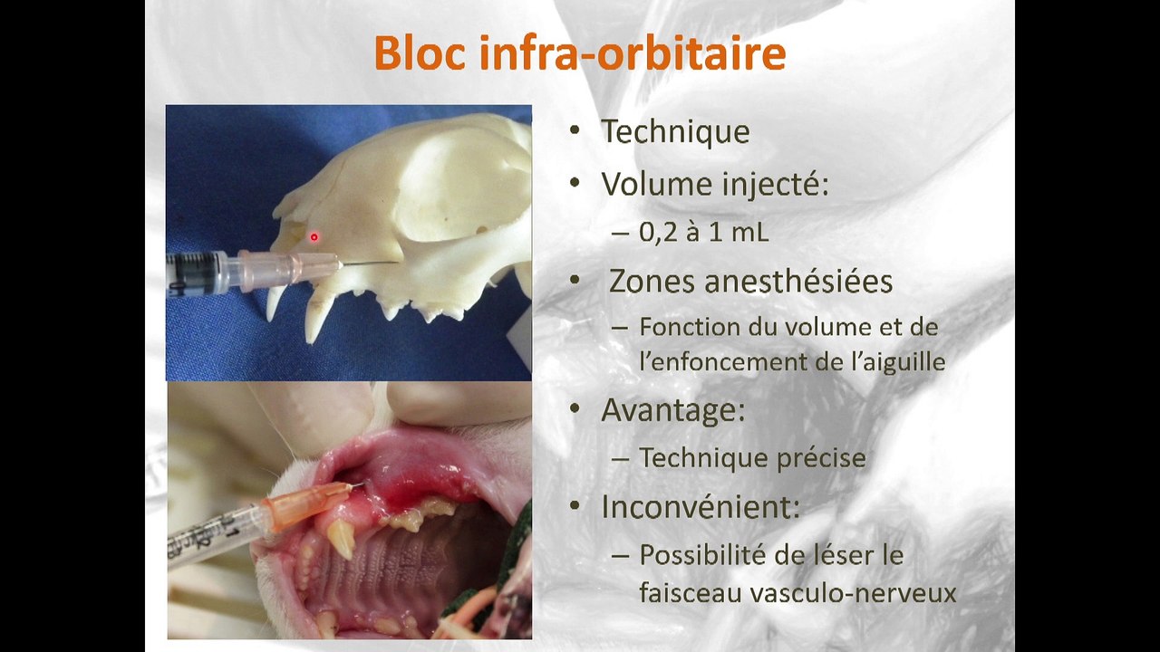 Conférence-3