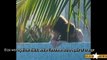 Timothee Chalamet & Eiza Gonzalez Get Steamy in the Pool Together Amid Mexican G