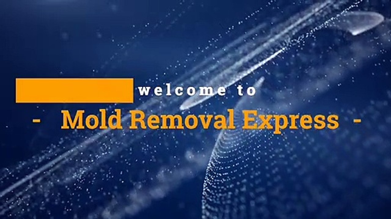 Mold Testing and Removal Denver, Colorado  | Mold Removal Express
