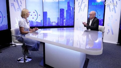 Les seniors sur le marché du travail [Serge Guerin]