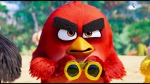 Hatchlings lose the Eggs Scene - THE ANGRY BIRDS MOVIE 2 (2019)