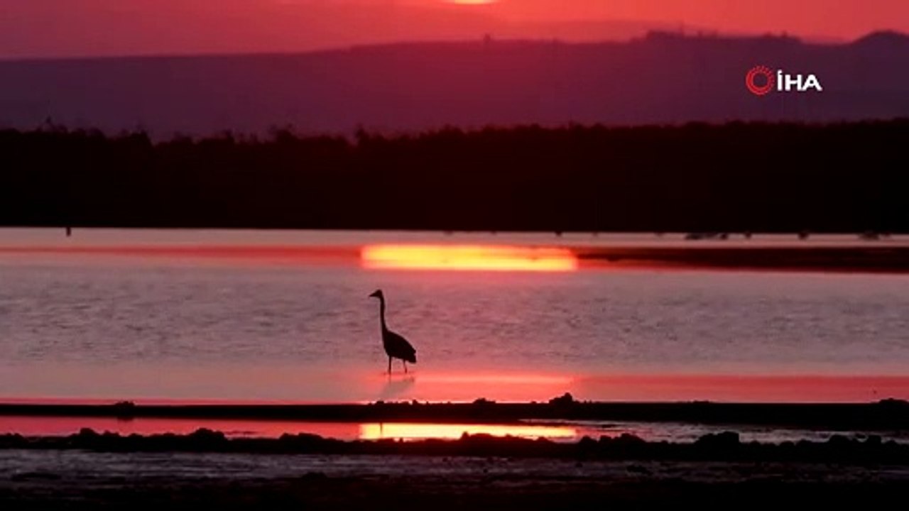 Kuş Cenneti’nde kartpostallık görüntüler