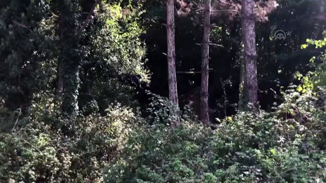 Arnavutköy'de cinayet - Olay yeri inceleme - İSTANBUL