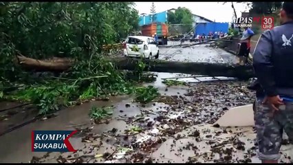 Hujan Deras Sebabkan Pohon Dan Tiang Listrik Tumbang