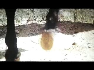 Making clip alone really alone