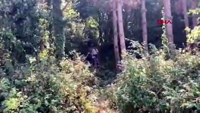 İstanbul'da ormanlık alanda kadın cesedi bulundu