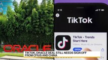 TikTok Asks U.S. Court to Intervene Against Trump Ban