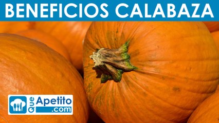 8 Propiedades y Beneficios de la Calabaza | QueApetito