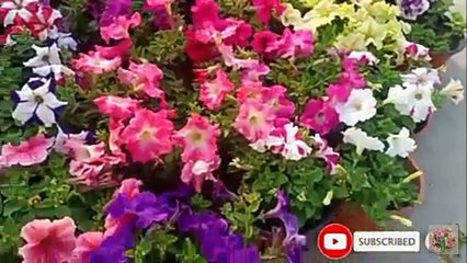 घर मे कोई सब्जी ना हो और आ जाएं मेहमान तो बनाएं ये लाजवाब सब्जी