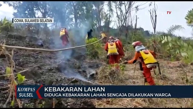 Kebakaran Lahan Diduga Kebakaran Lahan Sengaja Dilakukan Warga