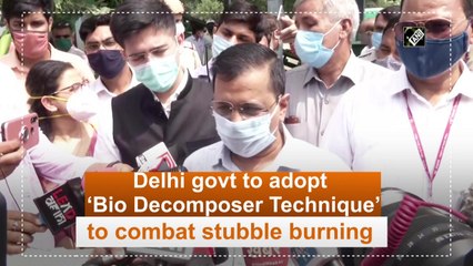 Delhi govt to adopt ‘Bio Decomposer Technique’ to combat stubble burning
