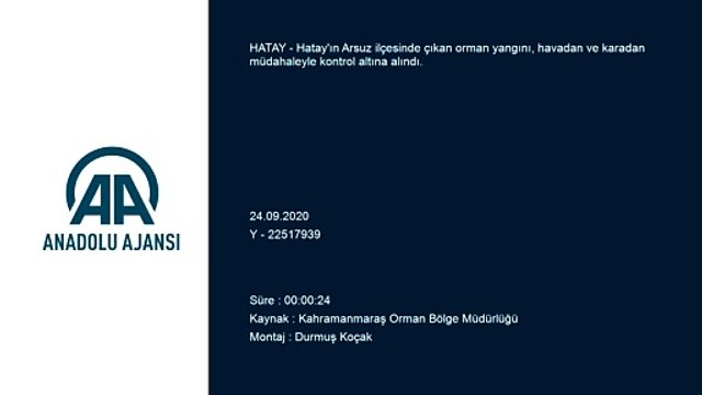 Ormanlık alanda çıkan yangın kontrol altına alındı - HATAY