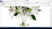 Easily add multiple images in MS Word without letting them resized automatically
